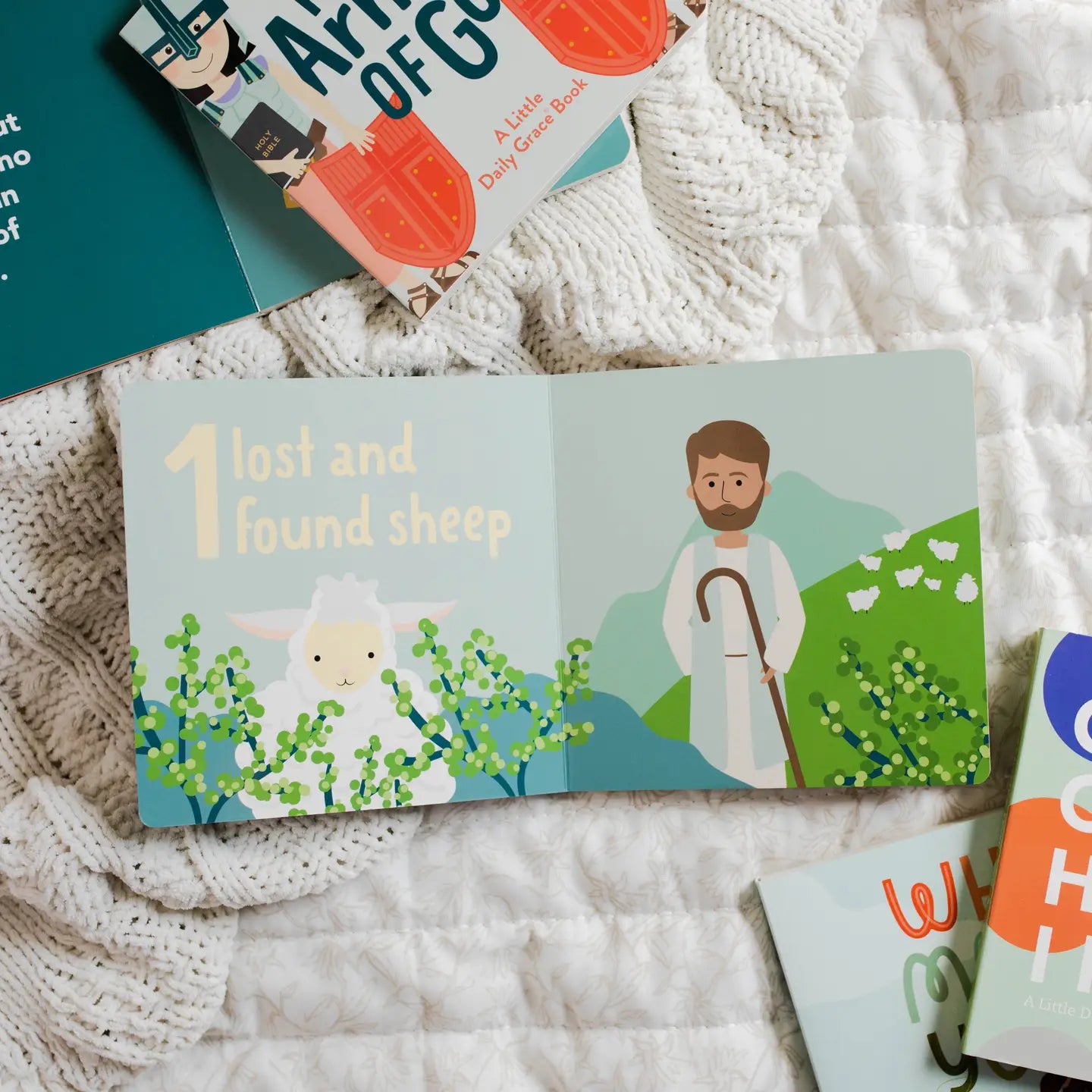 Counting through the Bible Board Book