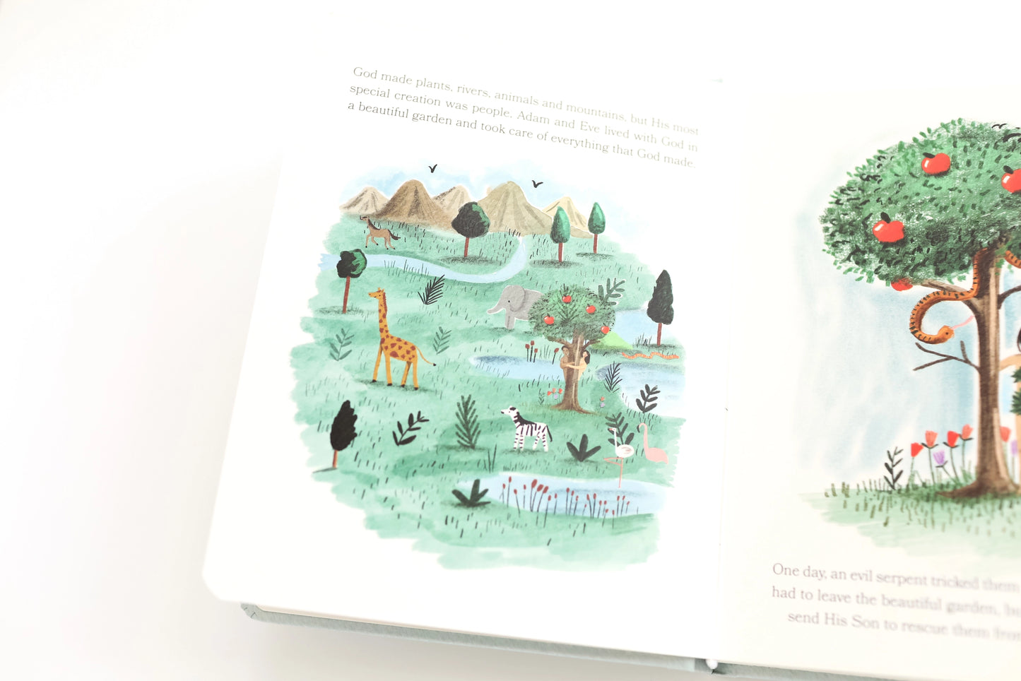 Bible Stories For Little Ones