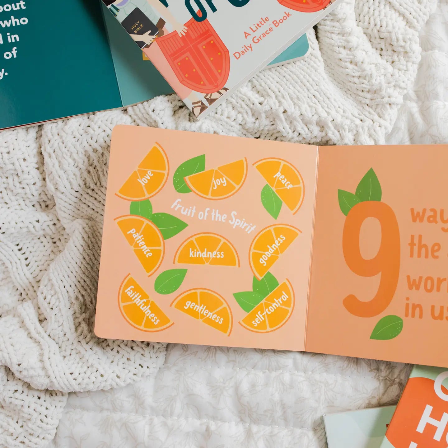 Counting through the Bible Board Book