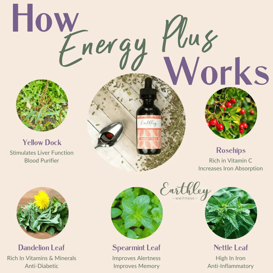 Energy Plus For Healthy Iron and Energy Support