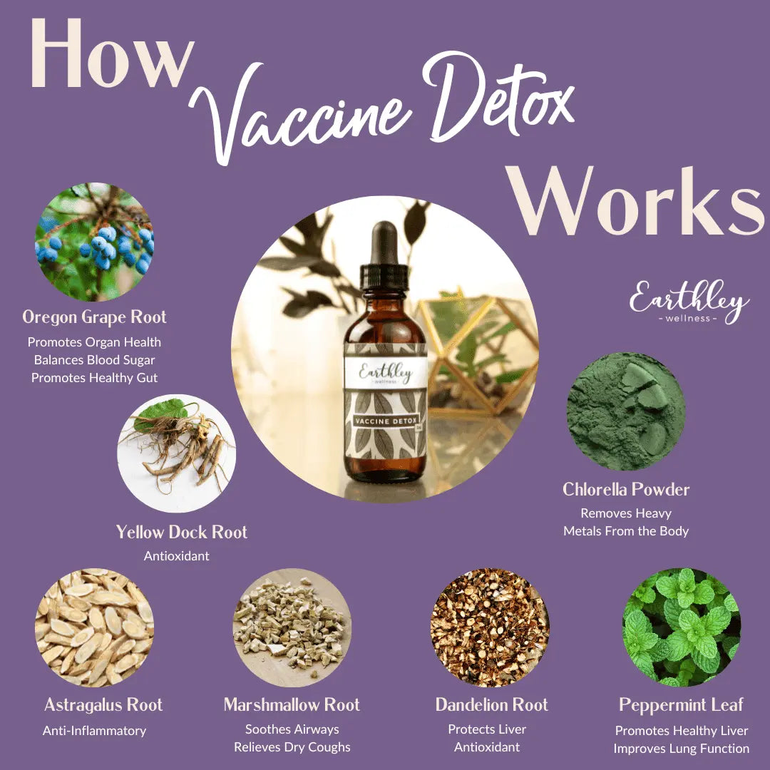 Vaccine Detox For Heavy Metals and Gut Healing
